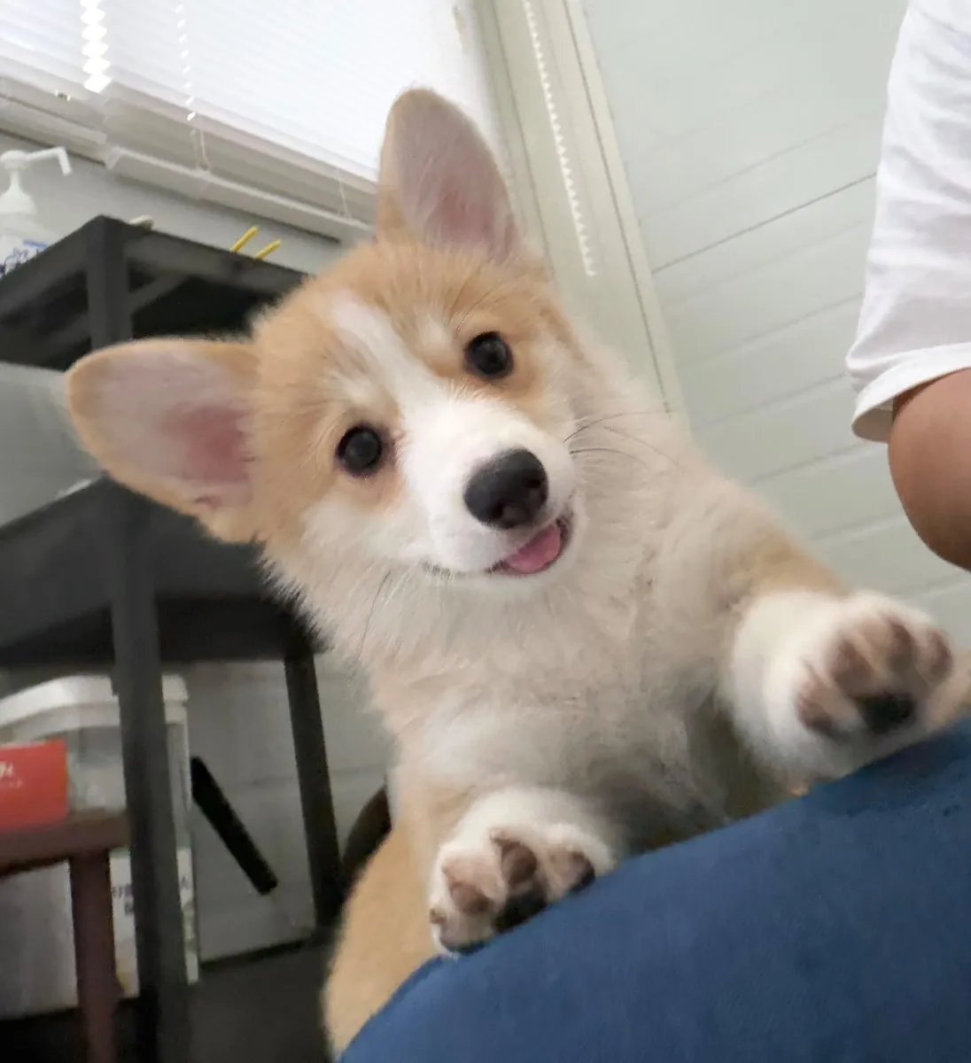 George being playful while held