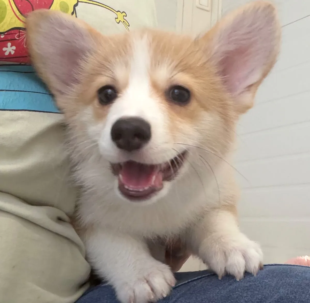 George smiling toward the camera